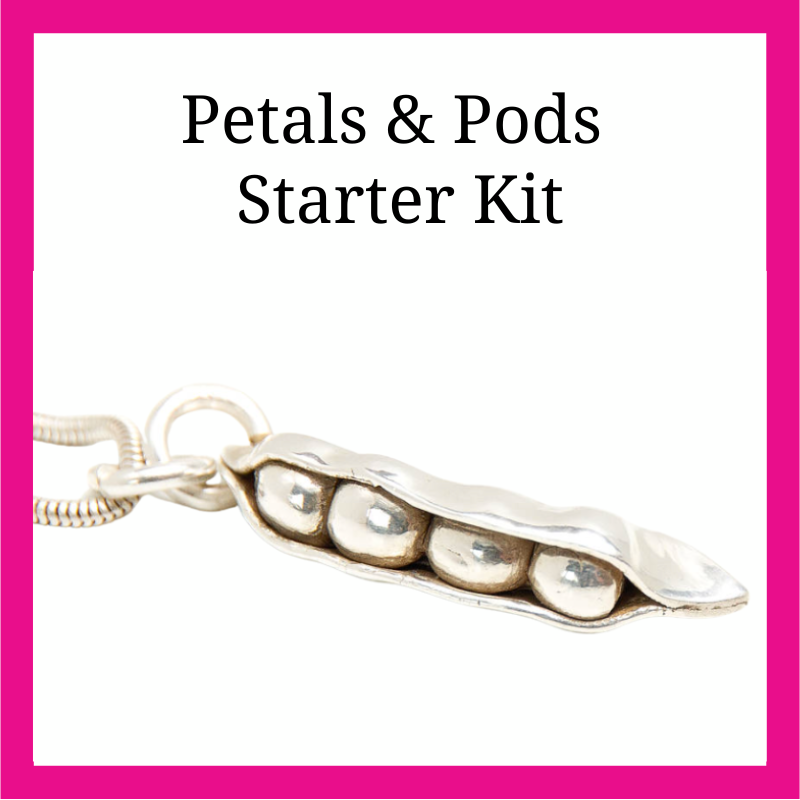Silver Clay Petal & Pods Kit